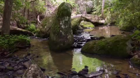 3 Minute Meditation Walkers Creek.