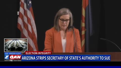 Ariz. Strips Secy. of State’s Authority to Sue