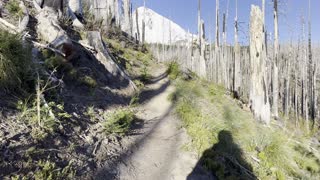 Climbing Up the Beautiful Tilly Jane Trail – Mount Hood – Oregon – 4K