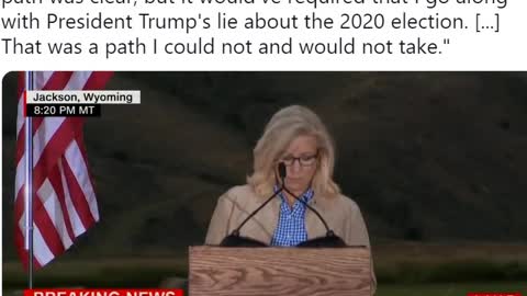 Bitter Liz Cheney Trashes Trump After Getting Crushed by Harriet Hageman. after being crushed by 30% in reelection