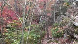 Peavine Falls @ Oak Mountain State Park