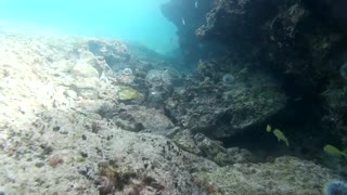 St. Maarten Snorkeling 2016