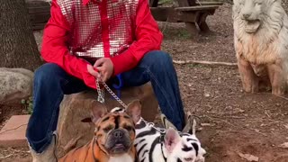 Kids Role Playing as the Tiger King with Frenchies