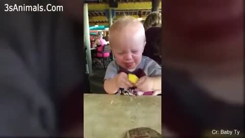 Babies React to Eating Lemon, Really Funny & Cute