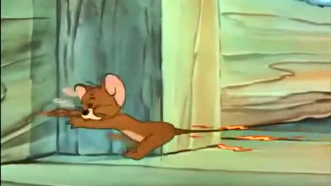 Tom and Jerry New Episode 3