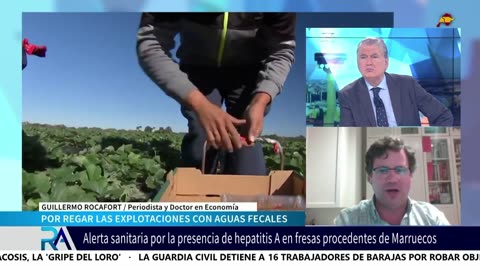 Guillermo Rocafort descubrió que Marruecos utiliza para cultivar sus productos aguas fecales