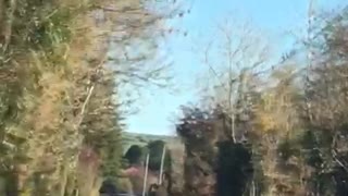 Reckless Driver Narrowly Escapes Multiple Accidents