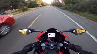 Deer Dashes Out in Front of Motorcycle