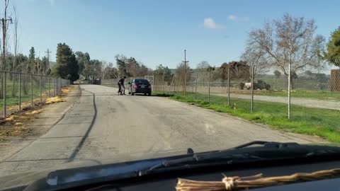 Dog Chases Owner's Car After Being Abandoned