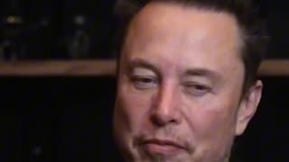 Elon Musk gets vulnerable during Lex Fridman's podcast