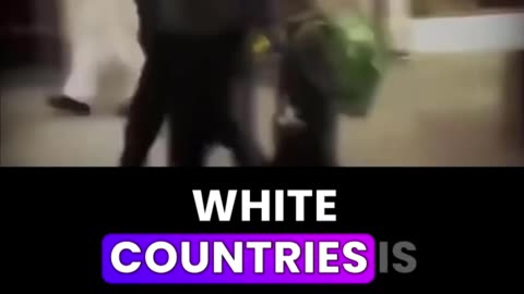 White people are being genocided throughout Western civilization.