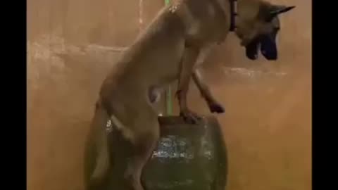 On a hot summer day, she takes a bath by herself