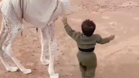 a child playing with a camel