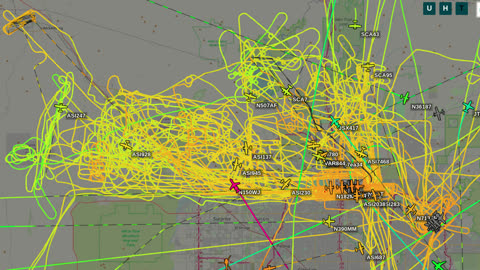 Bird Mafia Invading from UTAH and CHINA - Oct 9th - 1pm