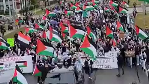America's streets are full of support marches for Palestinian ‏