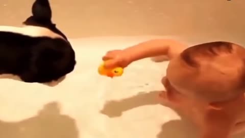 cute baby bathing and playing with a dog