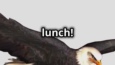 Bald Eagle Goes Viral with Hilarious Flight Stunts!