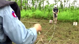 Cambodia's new batch of landmine-sniffing rats