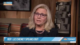 Liz Cheney Decides She Will Spend The Rest Of Her Life Attacking DJT