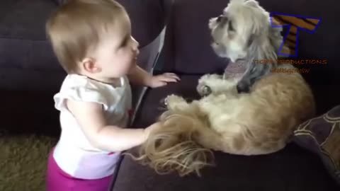 Funny dogs and babies talking