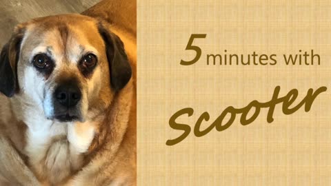 5 minutes with Scooter - Different thinking