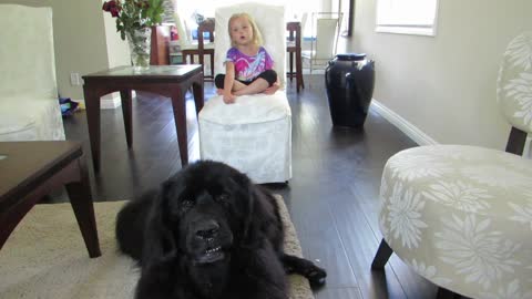 Adorable duet between giant dog and little girl