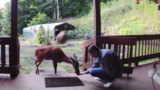 Deer NW NC High country at the Treehouse 🌳 Lady eats an apple 🍎 Appalachia