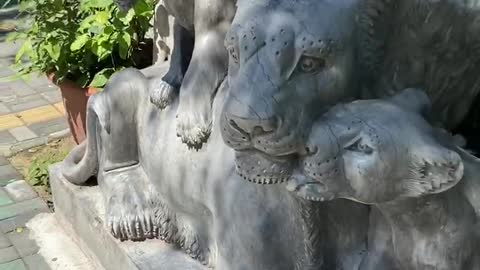 So many beautiful stone lions