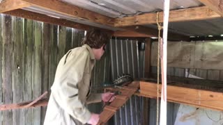 Python Caught in Chicken Coop
