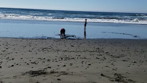 Local Beach & Sun