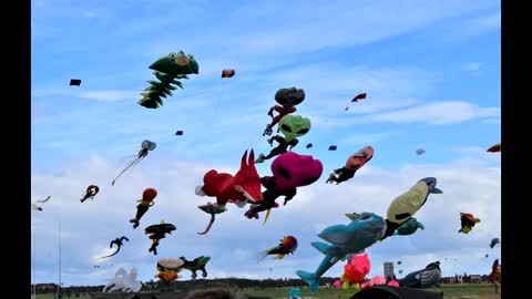 The 9th Festival of Giant Dragons kites in Tempelhofer Feld.