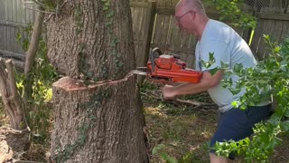 Tree Felling Fail Smashes Neighbor's Fence