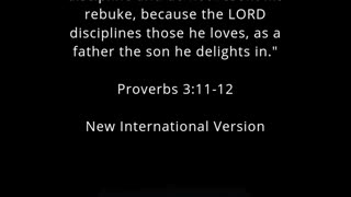 ✝️ Today's Bible Verse Proverbs 3:11-12