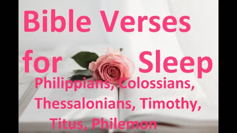 Bible Verses for Sleep Phillipians to Philemon, New Testament, Bible