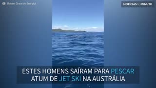 Pescador é cercado por dezenas de tubarões na Austrália