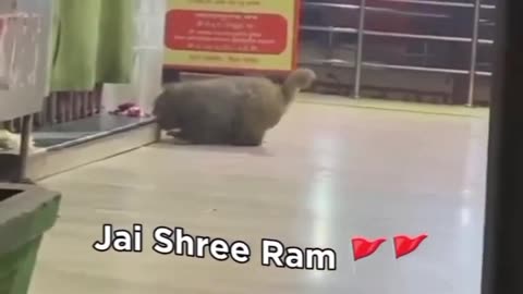 Jai Shree Ram 🙏🙏