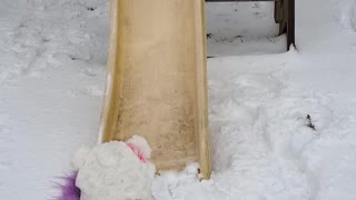 Snow Slide!