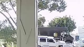 UPS Driver Scared of Doggo
