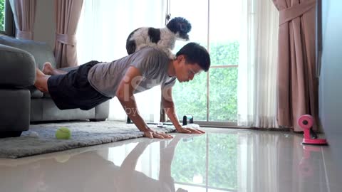 Dog Disturbing Men In Home Exercising At Home