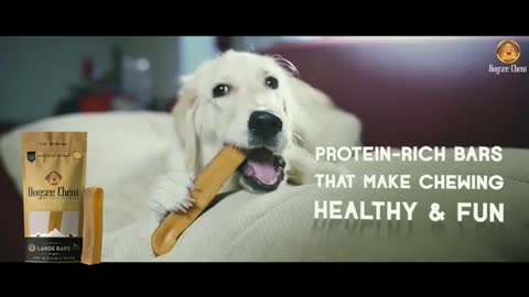 Large Dog Treats | Healthy and Natural Dental Chews for Dogs