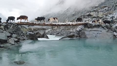 First snowfall of the year Kalam Swat valley