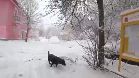 Rumble/ Natural Phenomena - These people were a little too close to avalanc