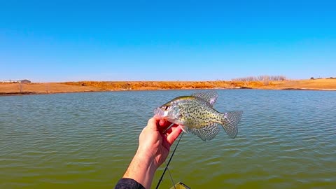 Colorado Fishing Roundup (3/25/2022)