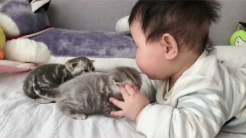 Baby meets little milk cat