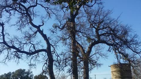 Walking the Grounds at the Seed of Life in Texas Hill Country