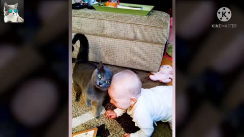 Little baby playing with cute cat