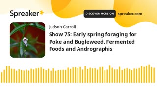 Show 75: Early spring foraging for Poke and Bugleweed, Fermented Foods and Andrographis