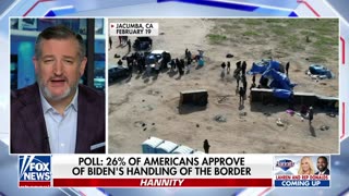Biden intends to continue with this border crisis: Sen. Ted Cruz