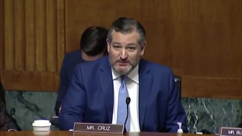 'You Think The Entire State Of Texas Is Racist?': Ted Cruz Grills Dem Witnesses On Voter ID Laws