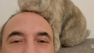 Rabbit Helps Keep Scalp Clean